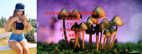 индика Слюдянка