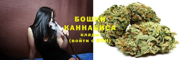 стаф Снежинск