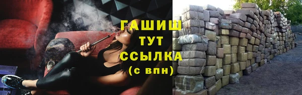 индика Слюдянка