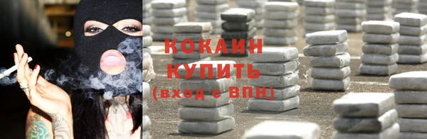 стаф Снежинск