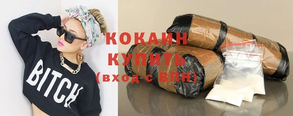 стаф Снежинск