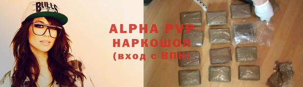 индика Слюдянка