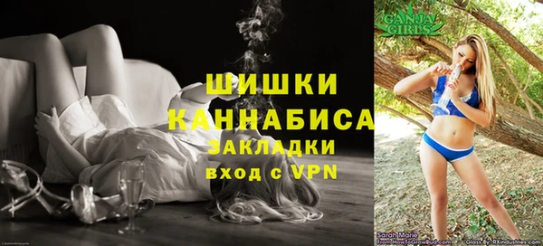 индика Слюдянка