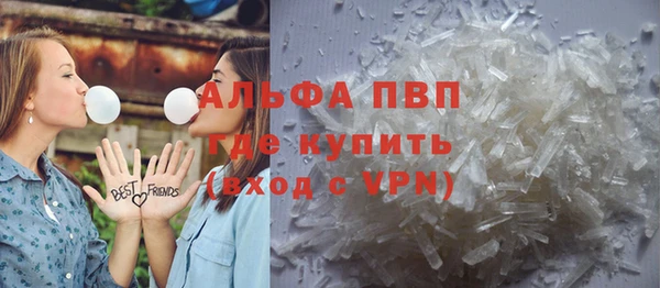 индика Слюдянка
